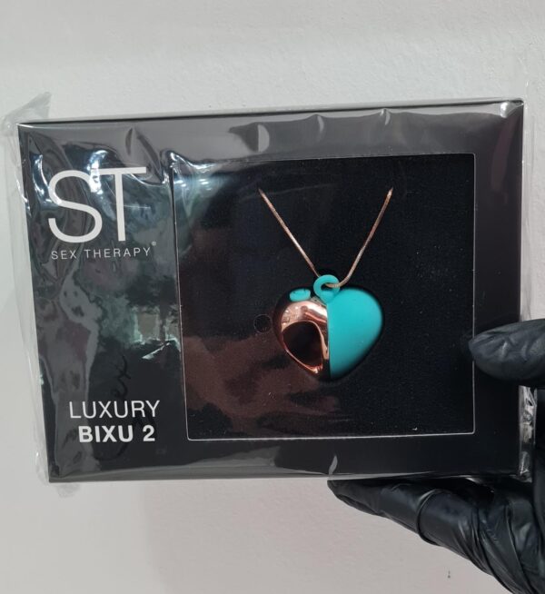 Luxury Bixu 2